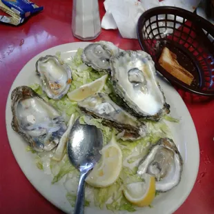 oysters and mussels, food, mussels, oysters, shellfish