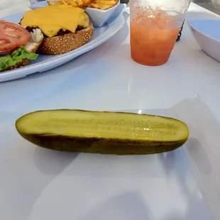 Giant pickle