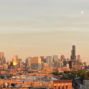 a view of the chicago skyline