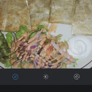 Chicken quesadilla~ huge portion!