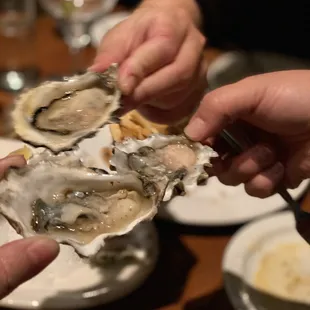 Oysters