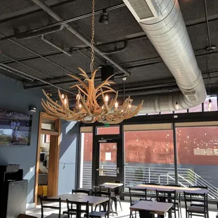 Chandelier made of deer horns