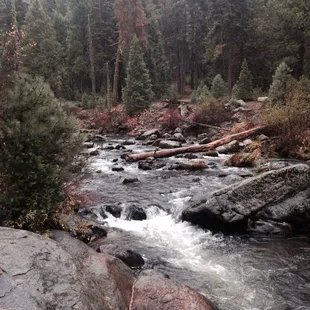 View from our cabin deck