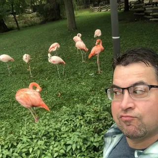 Dan B.
