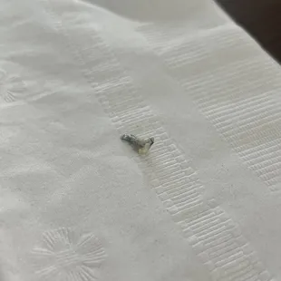 Piece of metal in my biscuits and gravy