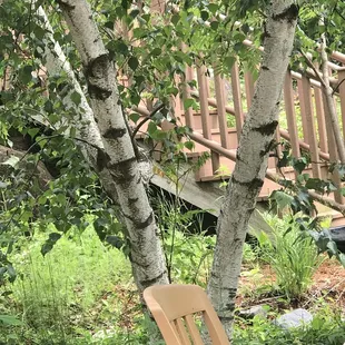 Can't wait to return!