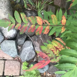 I love the grounds with all the flowers and plants!