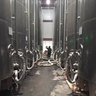 David in the middle of the lines.