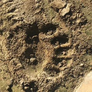 Long while on the trail on Upper Site