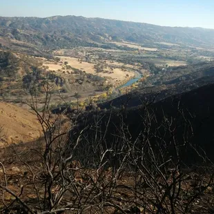 Fire Damage and the Creek