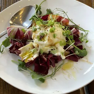 Burrata