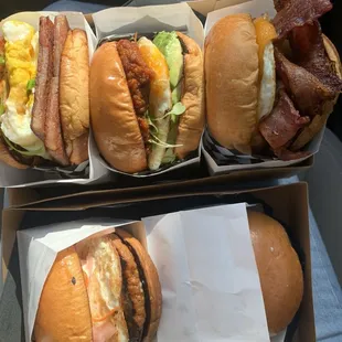 Top: Lola, Mila, Benny Bottom: Lolo