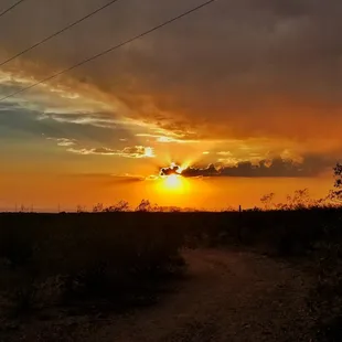 Trails Surrounding the Park