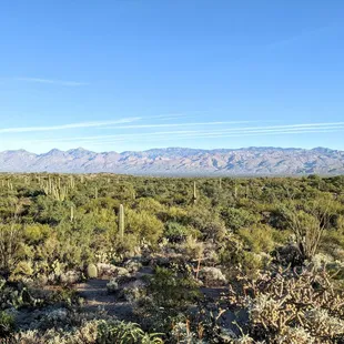 Sonoran Desert Overlook | Instagram: @telephonesmoothie