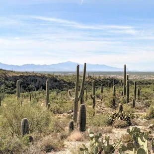 Freeman Homestead Nature Trail | Instagram: @telephonesmoothie