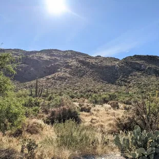 Rincon Mountains Overlook | Instagram: @telephonesmoothie