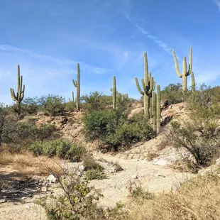 Freeman Homestead Nature Trail | Instagram: @telephonesmoothie