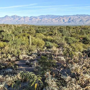 Sonoran Desert Overlook | Instagram: @telephonesmoothie