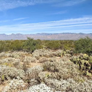 Freeman Homestead Nature Trail | Instagram: @telephonesmoothie