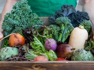 Prairieland Market