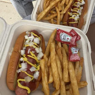 Hot dog and fries