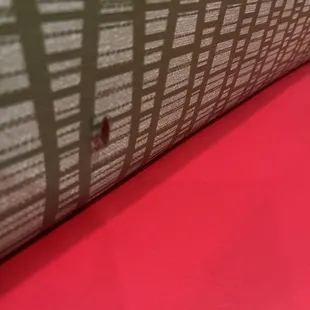 roaches