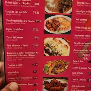 a hand holding a menu