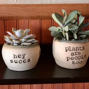 I had to buy one of these.