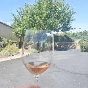 a hand holding a glass of wine