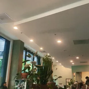 Inside they have games as well!