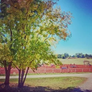 Cadence lower outdoor arena