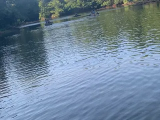 Shiloh Camp