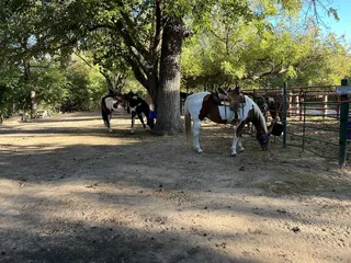 Honey Lee Ranch