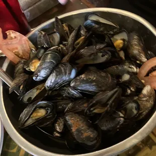 Mussels Forte Dei Marmi