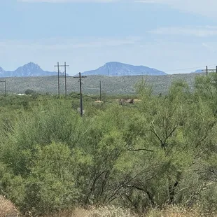 View from the porch