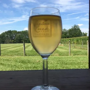 a glass of white wine