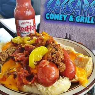 hot dog, sandwich, food, hot dogs