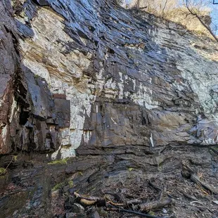 Raven Cliff Falls and Dismal Trail Loop | Instagram: @telephonesmoothie