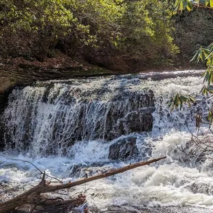 Raven Cliff Falls and Dismal Trail Loop | Instagram: @telephonesmoothie