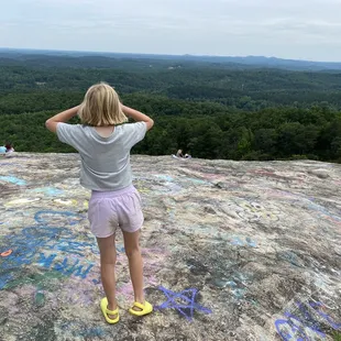 Bald Rock Heritage Preserve. If you're going all the way up Ceasars Head, you have to stop here!