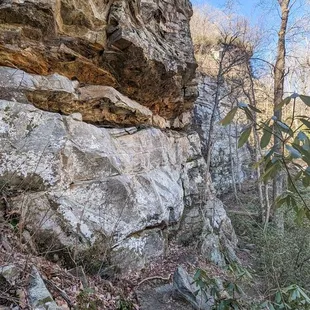 Raven Cliff Falls and Dismal Trail Loop | Instagram: @telephonesmoothie
