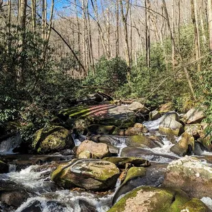 Raven Cliff Falls and Dismal Trail Loop | Instagram: @telephonesmoothie