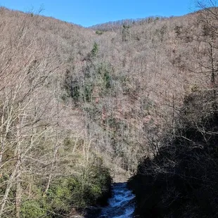 Raven Cliff Falls and Dismal Trail Loop | Instagram: @telephonesmoothie