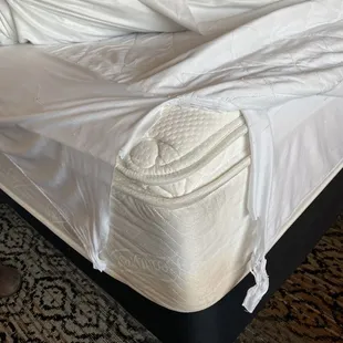 Torn up mattress cover