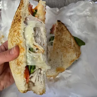 Melted Turkey and Swiss