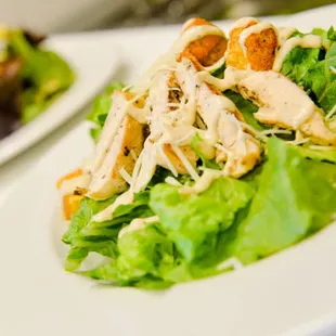 a plate of chicken salad and a plate of salad
