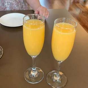 Texas Mimosas