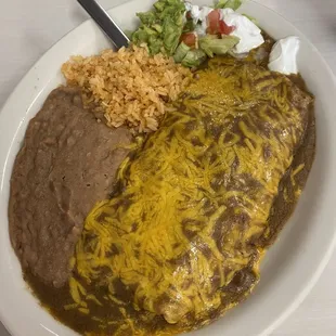 Large Carne Guisada Burrito