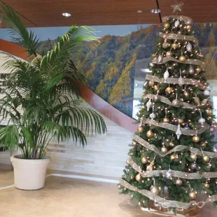 a decorated christmas tree