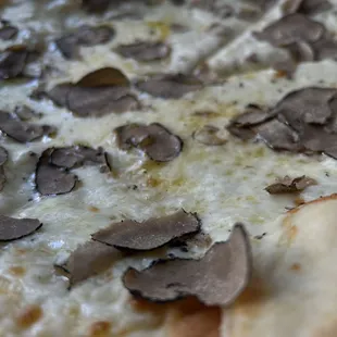 Truffle Pizza